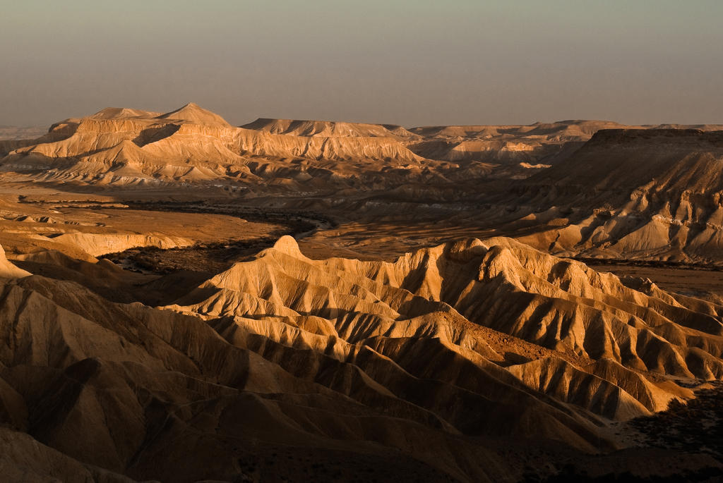 Krivine B&B Midreshet Ben Gurion Exteriér fotografie