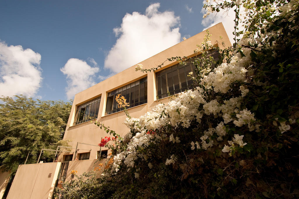 Krivine B&B Midreshet Ben Gurion Exteriér fotografie
