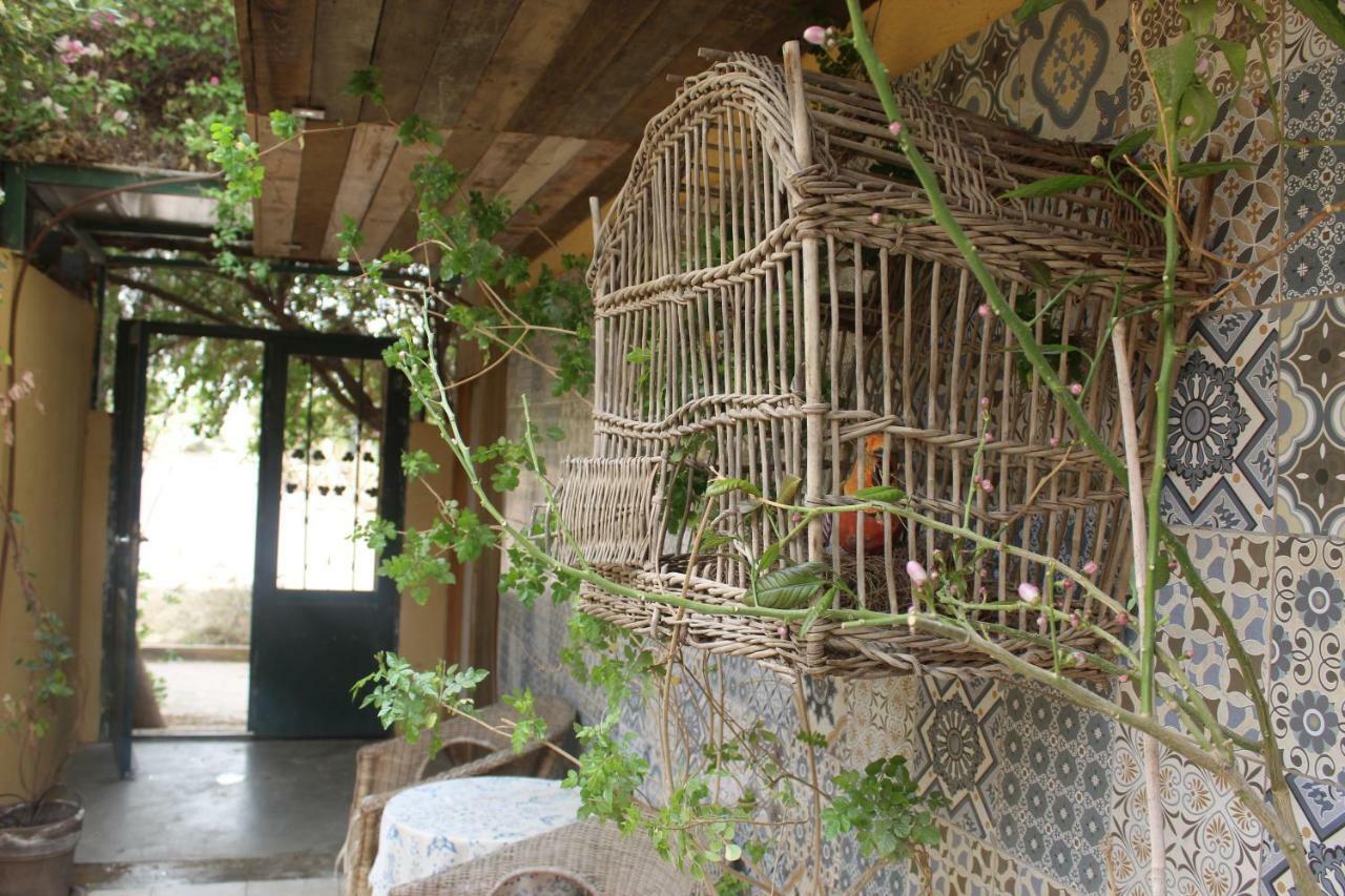Krivine B&B Midreshet Ben Gurion Exteriér fotografie